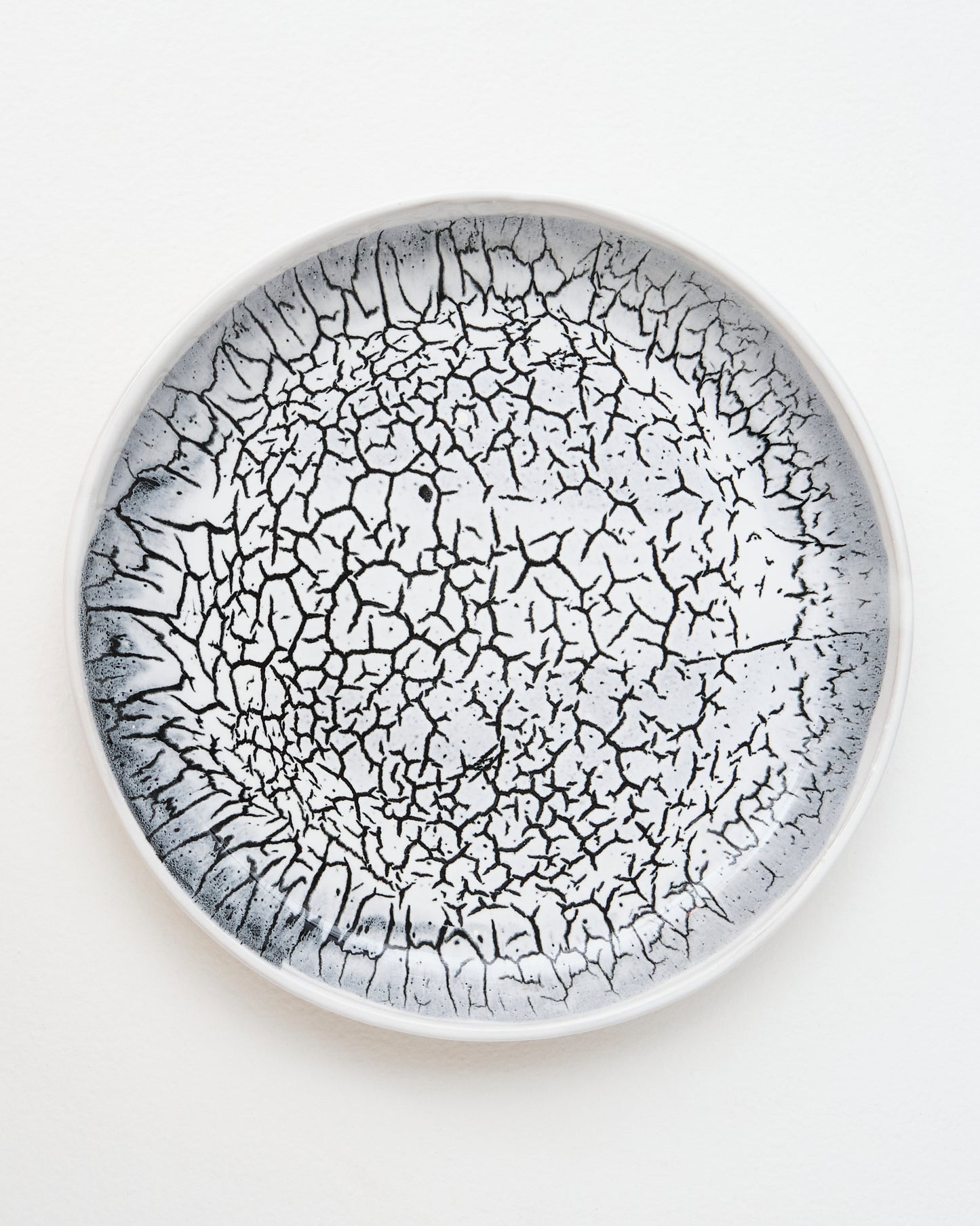 Smooth dinner plate with lip